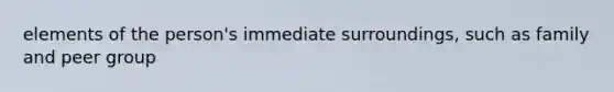 elements of the person's immediate surroundings, such as family and peer group