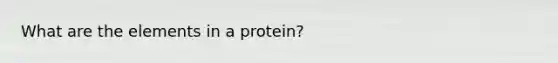 What are the elements in a protein?