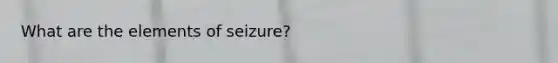 What are the elements of seizure?