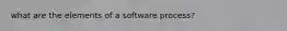 what are the elements of a software process?