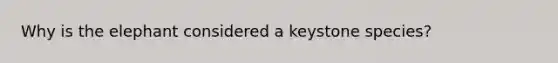 Why is the elephant considered a keystone species?