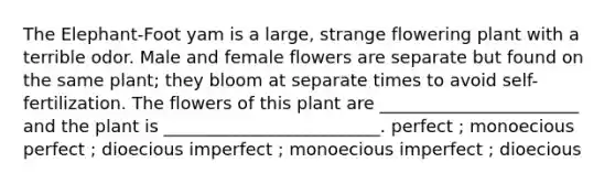 The Elephant-Foot yam is a large, strange flowering plant with a terrible odor. Male and female flowers are separate but found on the same plant; they bloom at separate times to avoid self-fertilization. The flowers of this plant are _______________________ and the plant is _________________________. perfect ; monoecious perfect ; dioecious imperfect ; monoecious imperfect ; dioecious