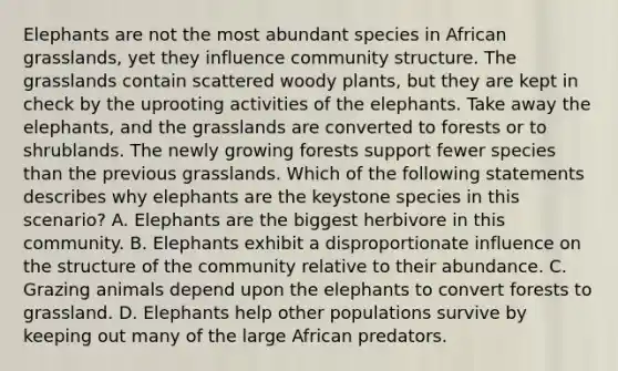 Elephants are not the most abundant species in African grasslands, yet they influence community structure. The grasslands contain scattered woody plants, but they are kept in check by the uprooting activities of the elephants. Take away the elephants, and the grasslands are converted to forests or to shrublands. The newly growing forests support fewer species than the previous grasslands. Which of the following statements describes why elephants are the keystone species in this scenario? A. Elephants are the biggest herbivore in this community. B. Elephants exhibit a disproportionate influence on the structure of the community relative to their abundance. C. Grazing animals depend upon the elephants to convert forests to grassland. D. Elephants help other populations survive by keeping out many of the large African predators.