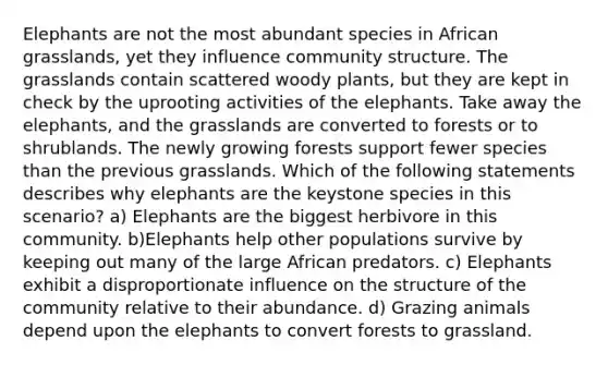 Elephants are not the most abundant species in African grasslands, yet they influence community structure. The grasslands contain scattered woody plants, but they are kept in check by the uprooting activities of the elephants. Take away the elephants, and the grasslands are converted to forests or to shrublands. The newly growing forests support fewer species than the previous grasslands. Which of the following statements describes why elephants are the keystone species in this scenario? a) Elephants are the biggest herbivore in this community. b)Elephants help other populations survive by keeping out many of the large African predators. c) Elephants exhibit a disproportionate influence on the structure of the community relative to their abundance. d) Grazing animals depend upon the elephants to convert forests to grassland.