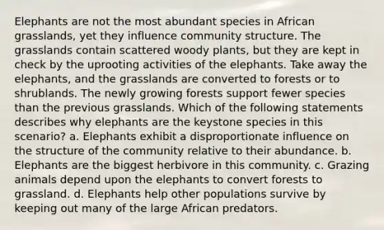 Elephants are not the most abundant species in African grasslands, yet they influence community structure. The grasslands contain scattered woody plants, but they are kept in check by the uprooting activities of the elephants. Take away the elephants, and the grasslands are converted to forests or to shrublands. The newly growing forests support fewer species than the previous grasslands. Which of the following statements describes why elephants are the keystone species in this scenario? a. Elephants exhibit a disproportionate influence on the structure of the community relative to their abundance. b. Elephants are the biggest herbivore in this community. c. Grazing animals depend upon the elephants to convert forests to grassland. d. Elephants help other populations survive by keeping out many of the large African predators.