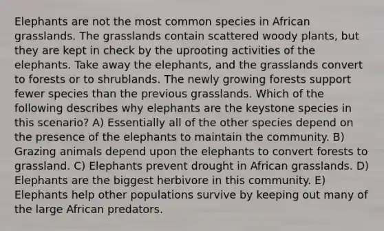 Elephants are not the most common species in African grasslands. The grasslands contain scattered woody plants, but they are kept in check by the uprooting activities of the elephants. Take away the elephants, and the grasslands convert to forests or to shrublands. The newly growing forests support fewer species than the previous grasslands. Which of the following describes why elephants are the keystone species in this scenario? A) Essentially all of the other species depend on the presence of the elephants to maintain the community. B) Grazing animals depend upon the elephants to convert forests to grassland. C) Elephants prevent drought in African grasslands. D) Elephants are the biggest herbivore in this community. E) Elephants help other populations survive by keeping out many of the large African predators.