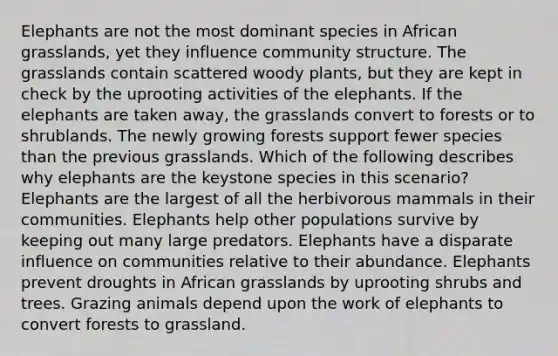 Elephants are not the most dominant species in African grasslands, yet they influence community structure. The grasslands contain scattered woody plants, but they are kept in check by the uprooting activities of the elephants. If the elephants are taken away, the grasslands convert to forests or to shrublands. The newly growing forests support fewer species than the previous grasslands. Which of the following describes why elephants are the keystone species in this scenario? Elephants are the largest of all the herbivorous mammals in their communities. Elephants help other populations survive by keeping out many large predators. Elephants have a disparate influence on communities relative to their abundance. Elephants prevent droughts in African grasslands by uprooting shrubs and trees. Grazing animals depend upon the work of elephants to convert forests to grassland.