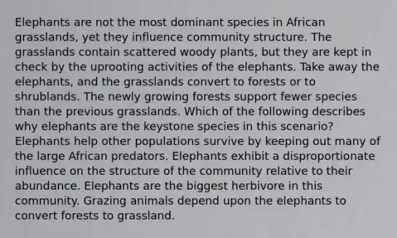 Elephants are not the most dominant species in African grasslands, yet they influence community structure. The grasslands contain scattered woody plants, but they are kept in check by the uprooting activities of the elephants. Take away the elephants, and the grasslands convert to forests or to shrublands. The newly growing forests support fewer species than the previous grasslands. Which of the following describes why elephants are the keystone species in this scenario? Elephants help other populations survive by keeping out many of the large African predators. Elephants exhibit a disproportionate influence on the structure of the community relative to their abundance. Elephants are the biggest herbivore in this community. Grazing animals depend upon the elephants to convert forests to grassland.