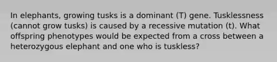 In elephants, growing tusks is a dominant (T) gene. Tusklessness (cannot grow tusks) is caused by a recessive mutation (t). What offspring phenotypes would be expected from a cross between a heterozygous elephant and one who is tuskless?