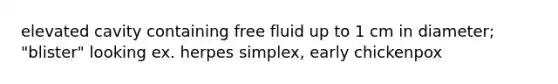 elevated cavity containing free fluid up to 1 cm in diameter; "blister" looking ex. herpes simplex, early chickenpox