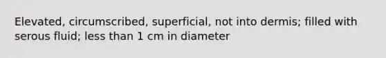 Elevated, circumscribed, superficial, not into dermis; filled with serous fluid; less than 1 cm in diameter