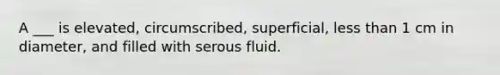 A ___ is elevated, circumscribed, superficial, less than 1 cm in diameter, and filled with serous fluid.