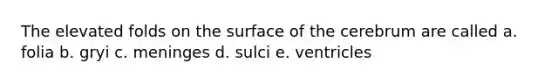 The elevated folds on the surface of the cerebrum are called a. folia b. gryi c. meninges d. sulci e. ventricles