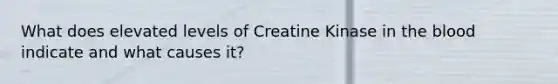 What does elevated levels of Creatine Kinase in the blood indicate and what causes it?