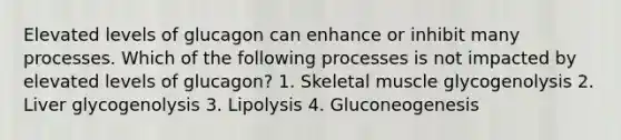 Elevated levels of glucagon can enhance or inhibit many processes. Which of the following processes is not impacted by elevated levels of glucagon? 1. Skeletal muscle glycogenolysis 2. Liver glycogenolysis 3. Lipolysis 4. Gluconeogenesis