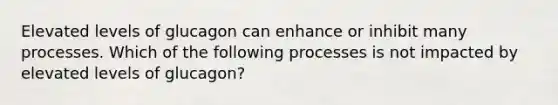 Elevated levels of glucagon can enhance or inhibit many processes. Which of the following processes is not impacted by elevated levels of glucagon?