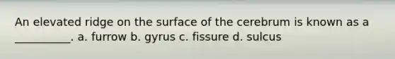 An elevated ridge on the surface of the cerebrum is known as a __________. a. furrow b. gyrus c. fissure d. sulcus