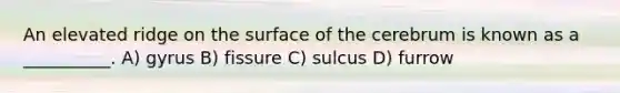 An elevated ridge on the surface of the cerebrum is known as a __________. A) gyrus B) fissure C) sulcus D) furrow