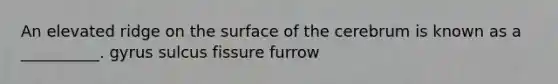 An elevated ridge on the surface of the cerebrum is known as a __________. gyrus sulcus fissure furrow