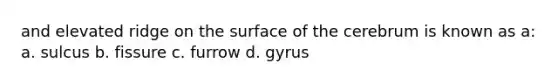 and elevated ridge on the surface of the cerebrum is known as a: a. sulcus b. fissure c. furrow d. gyrus