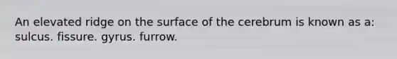 An elevated ridge on the surface of the cerebrum is known as a: sulcus. fissure. gyrus. furrow.