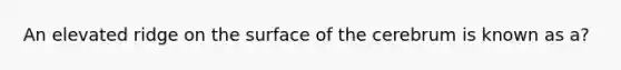 An elevated ridge on the surface of the cerebrum is known as a?