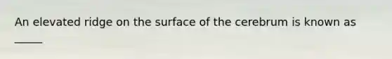 An elevated ridge on the surface of the cerebrum is known as _____