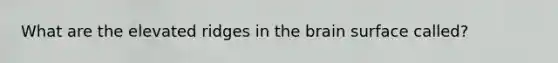 What are the elevated ridges in <a href='https://www.questionai.com/knowledge/kLMtJeqKp6-the-brain' class='anchor-knowledge'>the brain</a> surface called?