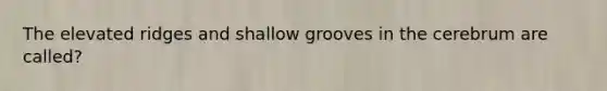 The elevated ridges and shallow grooves in the cerebrum are called?