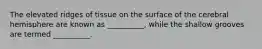 The elevated ridges of tissue on the surface of the cerebral hemisphere are known as __________, while the shallow grooves are termed __________.