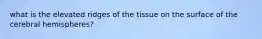 what is the elevated ridges of the tissue on the surface of the cerebral hemispheres?