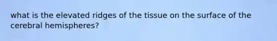 what is the elevated ridges of the tissue on the surface of the cerebral hemispheres?