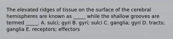 The elevated ridges of tissue on the surface of the cerebral hemispheres are known as _____ while the shallow grooves are termed _____. A. sulci; gyri B. gyri; sulci C. ganglia; gyri D. tracts; ganglia E. receptors; effectors