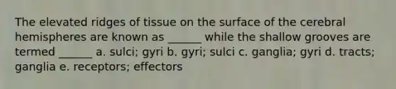 The elevated ridges of tissue on the surface of the cerebral hemispheres are known as ______ while the shallow grooves are termed ______ a. sulci; gyri b. gyri; sulci c. ganglia; gyri d. tracts; ganglia e. receptors; effectors