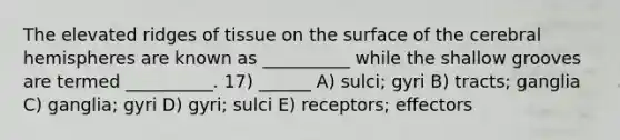 The elevated ridges of tissue on the surface of the cerebral hemispheres are known as __________ while the shallow grooves are termed __________. 17) ______ A) sulci; gyri B) tracts; ganglia C) ganglia; gyri D) gyri; sulci E) receptors; effectors