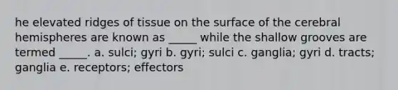 he elevated ridges of tissue on the surface of the cerebral hemispheres are known as _____ while the shallow grooves are termed _____. a. sulci; gyri b. gyri; sulci c. ganglia; gyri d. tracts; ganglia e. receptors; effectors