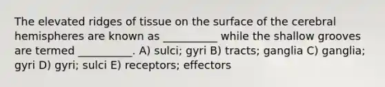 The elevated ridges of tissue on the surface of the cerebral hemispheres are known as __________ while the shallow grooves are termed __________. A) sulci; gyri B) tracts; ganglia C) ganglia; gyri D) gyri; sulci E) receptors; effectors