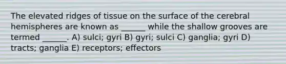 The elevated ridges of tissue on the surface of the cerebral hemispheres are known as ______ while the shallow grooves are termed ______. A) sulci; gyri B) gyri; sulci C) ganglia; gyri D) tracts; ganglia E) receptors; effectors