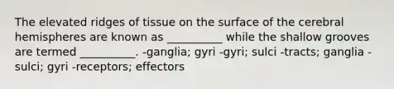 The elevated ridges of tissue on the surface of the cerebral hemispheres are known as __________ while the shallow grooves are termed __________. -ganglia; gyri -gyri; sulci -tracts; ganglia -sulci; gyri -receptors; effectors