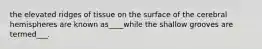 the elevated ridges of tissue on the surface of the cerebral hemispheres are known as____while the shallow grooves are termed___.