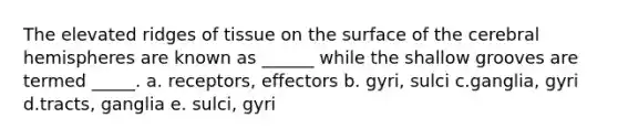 The elevated ridges of tissue on the surface of the cerebral hemispheres are known as ______ while the shallow grooves are termed _____. a. receptors, effectors b. gyri, sulci c.ganglia, gyri d.tracts, ganglia e. sulci, gyri