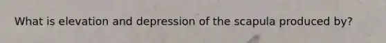 What is elevation and depression of the scapula produced by?