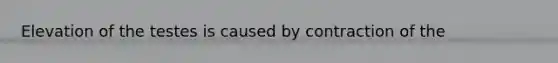 Elevation of the testes is caused by contraction of the
