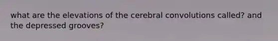 what are the elevations of the cerebral convolutions called? and the depressed grooves?