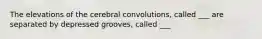 The elevations of the cerebral convolutions, called ___ are separated by depressed grooves, called ___