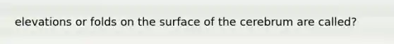 elevations or folds on the surface of the cerebrum are called?