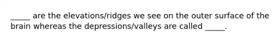 _____ are the elevations/ridges we see on the outer surface of the brain whereas the depressions/valleys are called _____.