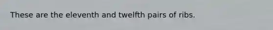 These are the eleventh and twelfth pairs of ribs.