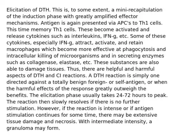 Elicitation of DTH. This is, to some extent, a mini-recapitulation of the induction phase with greatly amplified effector mechanisms. Antigen is again presented via APC's to Th1 cells. This time memory Th1 cells. These become activated and release cytokines such as interleukins, IFN-g, etc. Some of these cytokines, especially IFN-g, attract, activate, and retain macrophages which become more effective at phagocytosis and intracellular killing of microorganisms and in secreting enzymes such as collagenase, elastase, etc. These substances are also able to damage tissues. Thus, there are helpful and harmful aspects of DTH and CI reactions. A DTH reaction is simply one directed against a totally benign foreign- or self-antigen, or when the harmful effects of the response greatly outweigh the benefits. The elicitation phase usually takes 24-72 hours to peak. The reaction then slowly resolves if there is no further stimulation. However, if the reaction is intense or if antigen stimulation continues for some time, there may be extensive tissue damage and necrosis. With intermediate intensity, a granuloma may form.