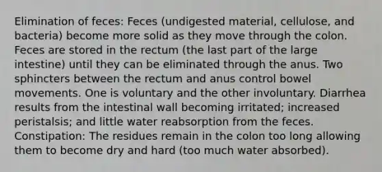 Elimination of feces: Feces (undigested material, cellulose, and bacteria) become more solid as they move through the colon. Feces are stored in the rectum (the last part of the large intestine) until they can be eliminated through the anus. Two sphincters between the rectum and anus control bowel movements. One is voluntary and the other involuntary. Diarrhea results from the intestinal wall becoming irritated; increased peristalsis; and little water reabsorption from the feces. Constipation: The residues remain in the colon too long allowing them to become dry and hard (too much water absorbed).